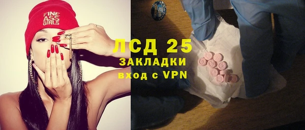 индика Абаза