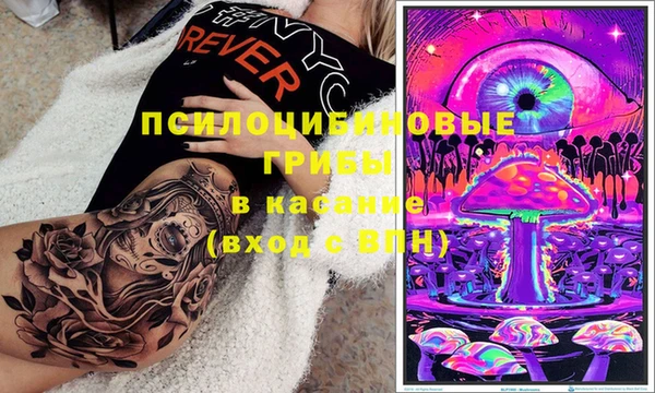 индика Абаза