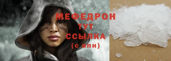 индика Абаза