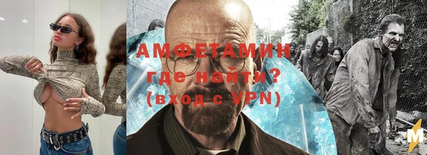 индика Абаза