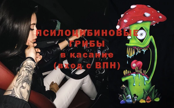 мяу мяу мука Алексеевка
