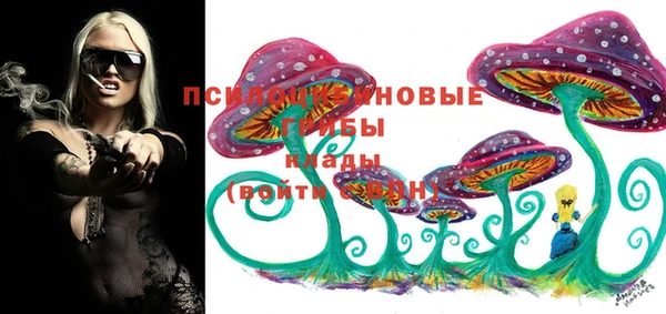 индика Абаза