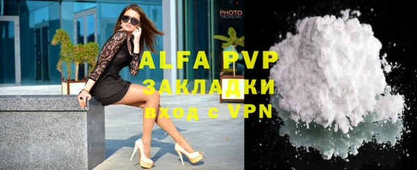 индика Абаза