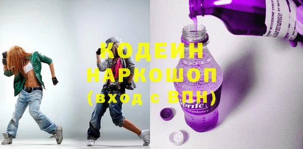 индика Абаза